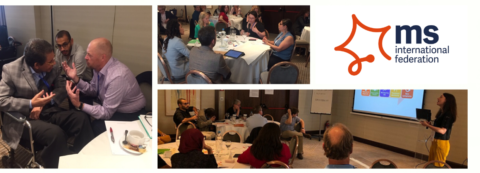 MSIF global networking meetings 2019