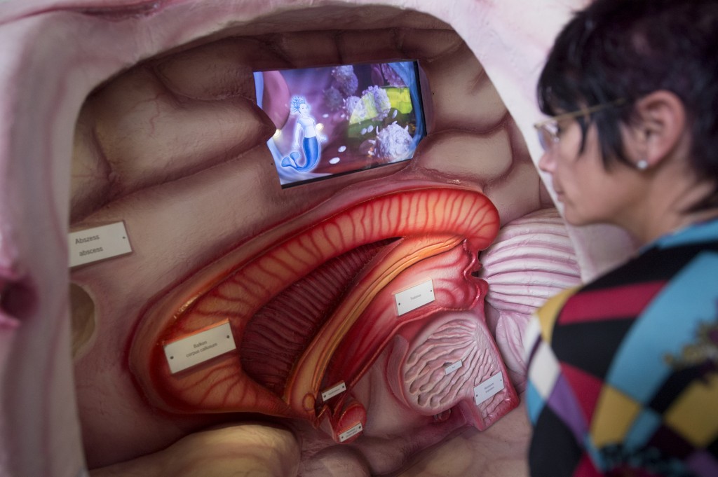 A woman looks at a giant model of a human brain