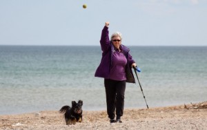 A woman carrying a walking stick throws a ball to a dog on the beach