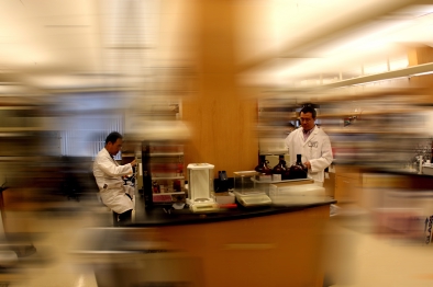 Scientific research in action