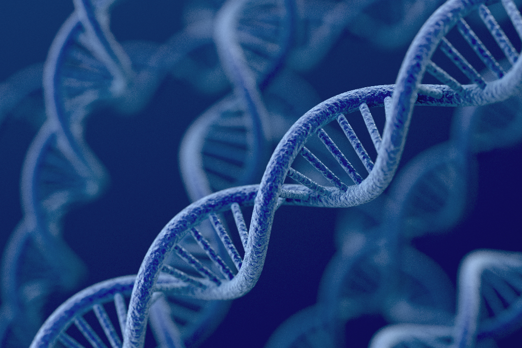 New map shows different immune cells involved in onset