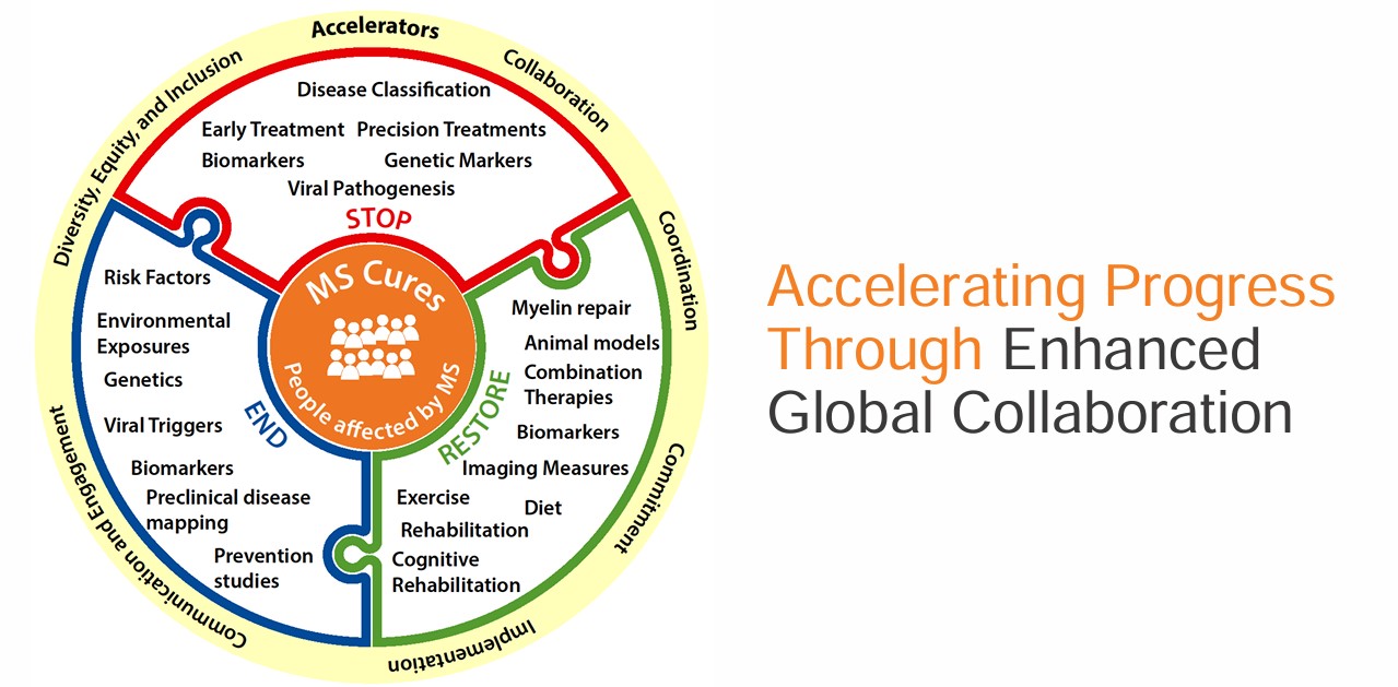 Diagram showing aspects of collaboration needed to make progress towards cures for MS